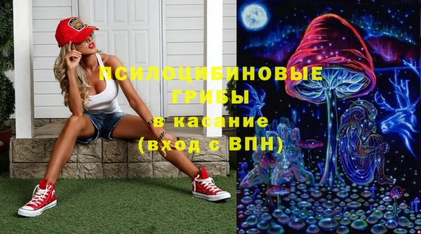 Альфа ПВП Семёнов